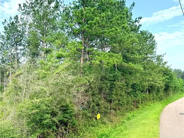 Lot1a 5ac Lee Rd, Franklinton, LA 70438