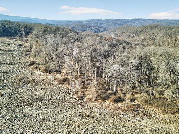 3rd image of 271.18 acres Zwettler/Foster Road #N/A