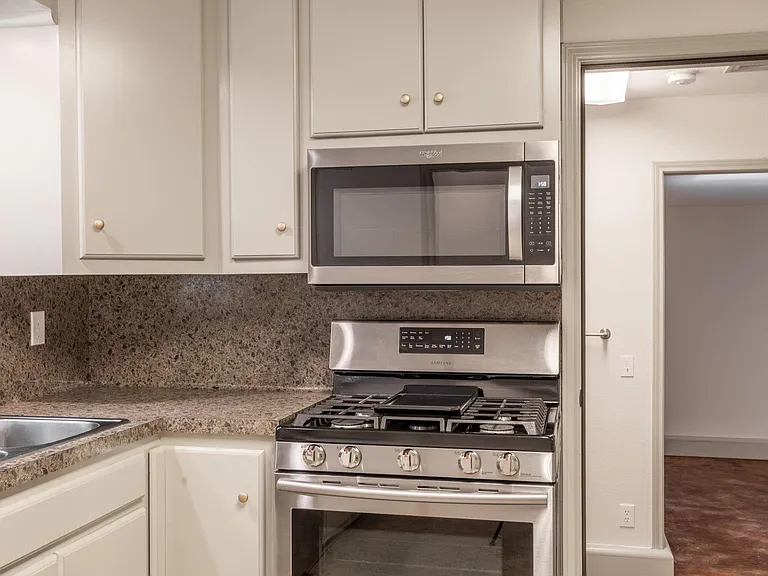 1517 Live Oak St — Photo 15
