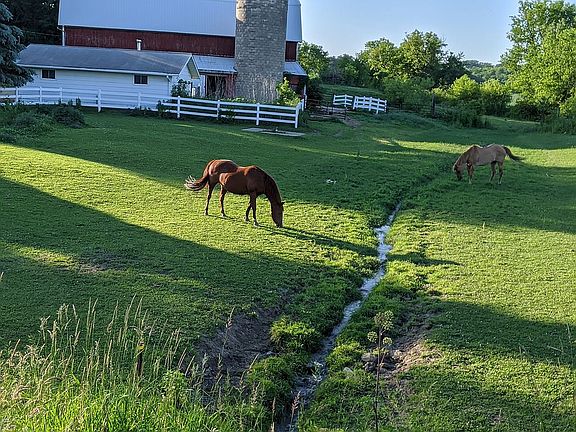 Front pasture