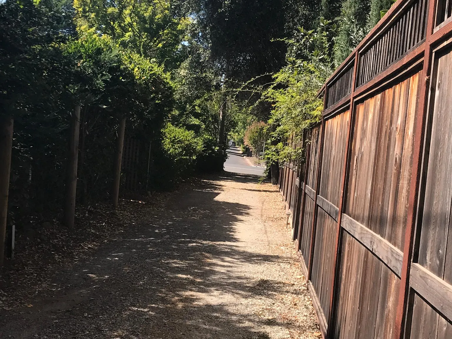 1629 Madrona Ave — Photo 4