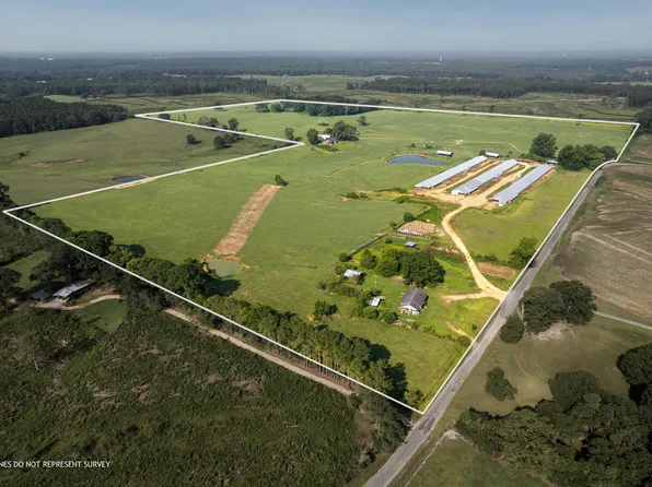 359 Speed McLeod Rd, Collins, MS 39428