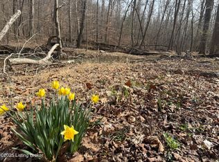 394 Briarwood Dr, Leitchfield, KY