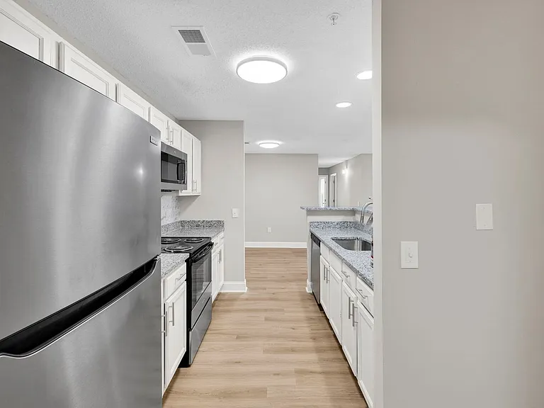 Palmetto Ridge — Photo 41