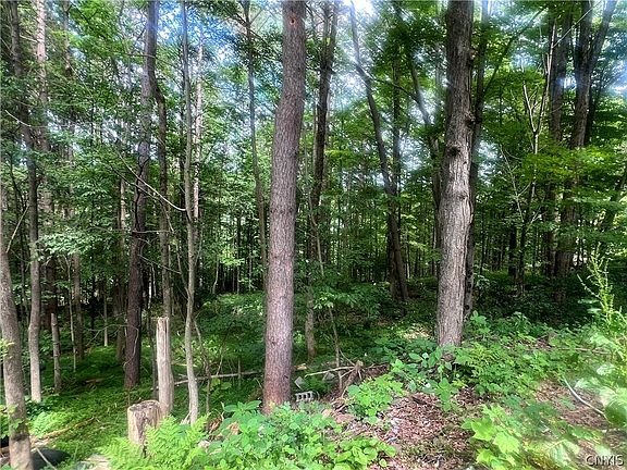 4th image of 2872 W River Rd