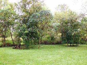 4th image of 1555 Campbell Blvd