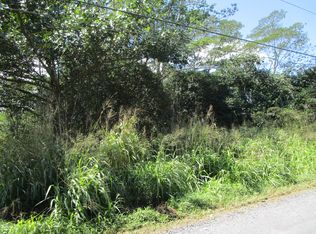 9th Avenue Kalaunu LOT 919, Keaau, HI 96749