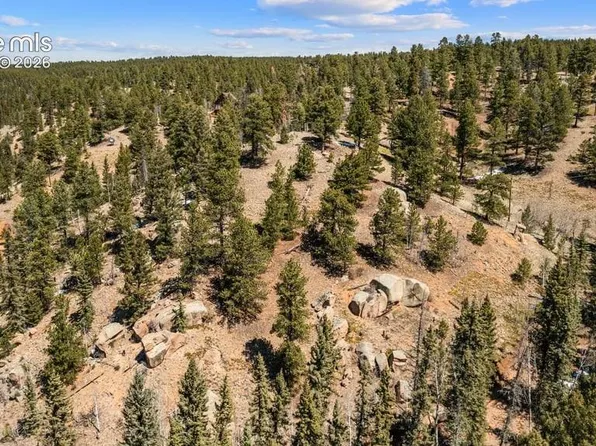 196 Beaver Creek Cir, Florissant, CO 80816