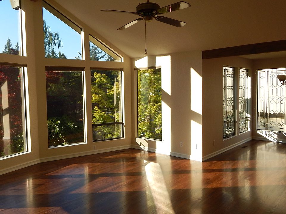Beautiful Light & Windows 