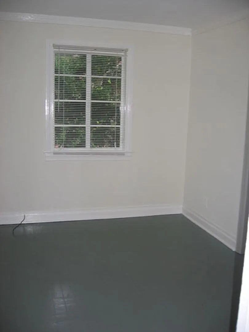 1BR Apartment at 307 Ransom Walk to Class or Downtown — Photo 3