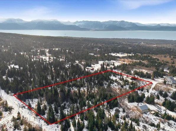 55446 Finch Ave, Homer, AK 99603