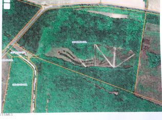 2650 Joe Miley Rd, Brunson, SC 29911