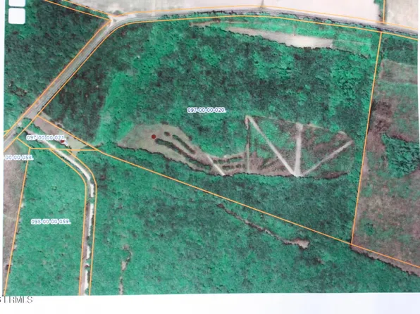 2650 Joe Miley Rd, Brunson, SC 29911