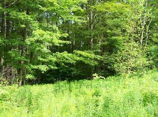 Tower Mountain Rd, Stamford, NY 12167