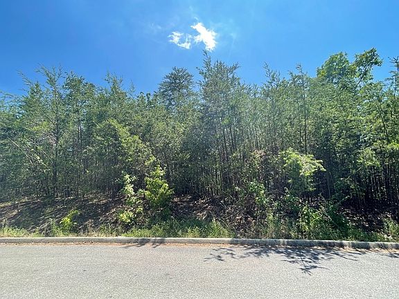 3rd image of 0 Cloud View Dr Lot 55