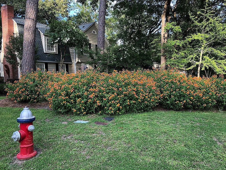 2nd image of 4201 Blossom St