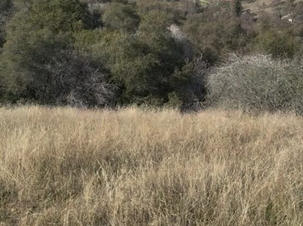 0 Chuckwagon Rd Lot 350, Squaw Valley, CA 93675