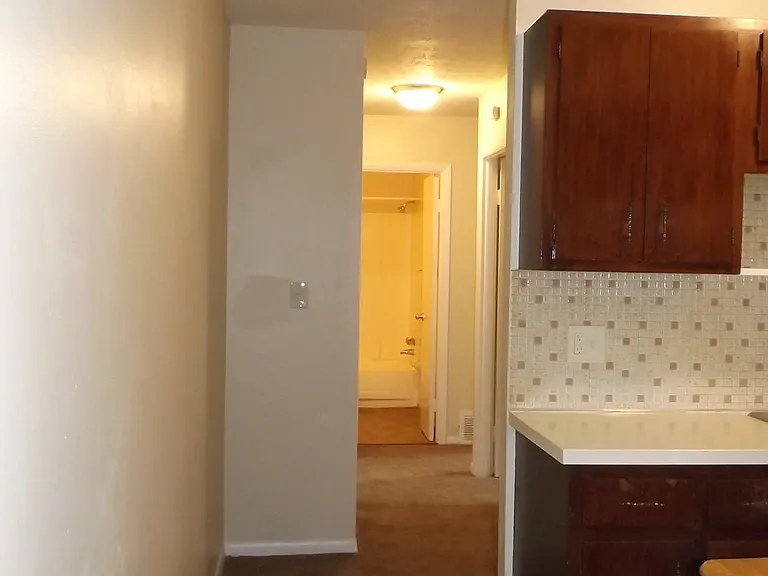 841 Silver Meadows Blvd — Photo 9