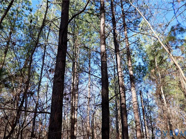 0 Beaver Acres Ln Lot 13, Buffalo Junction, VA 24529