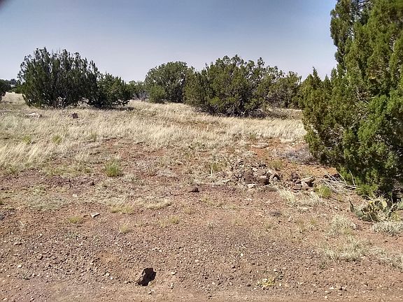 4th image of 8424 Pinon Dr