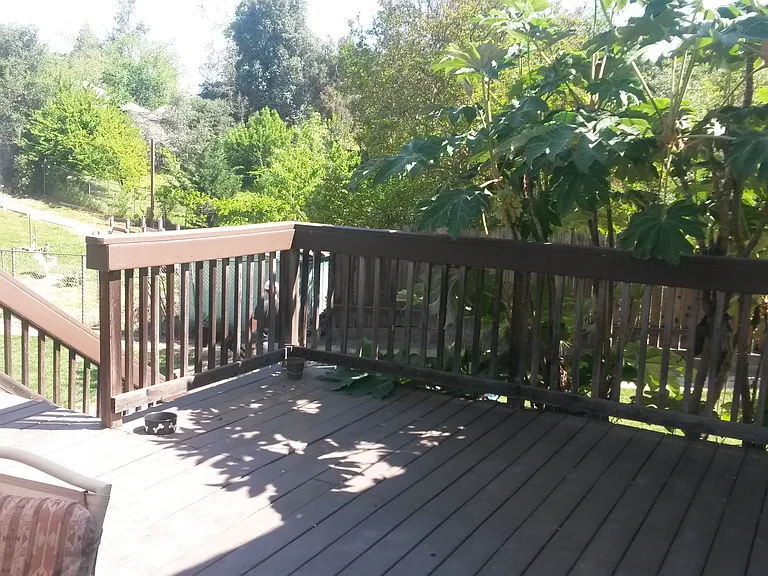 8775 Sunset Ave — Photo 4