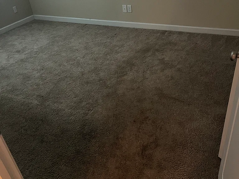431 Truman Dr — Photo 7