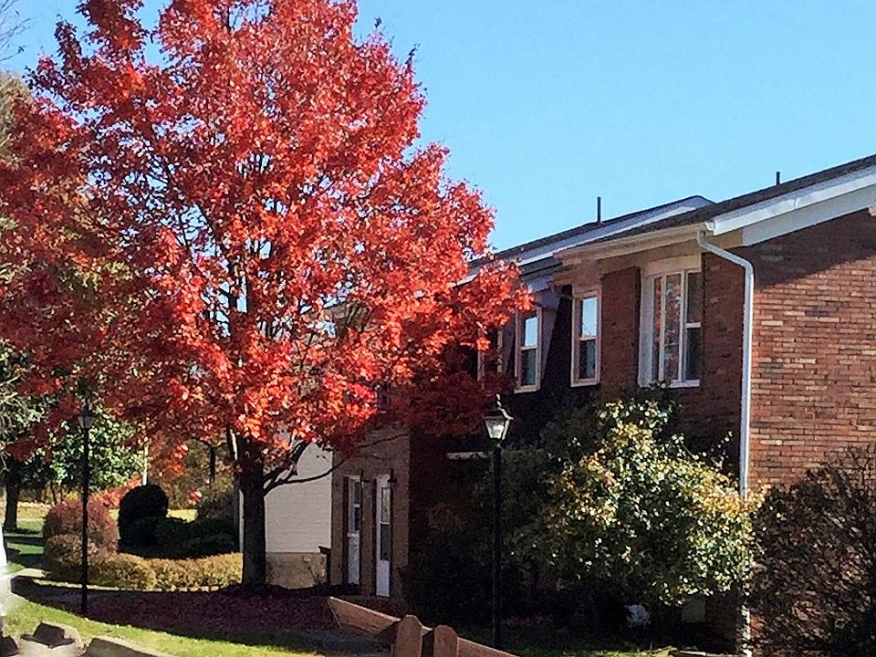 Bldg with fall foliage.