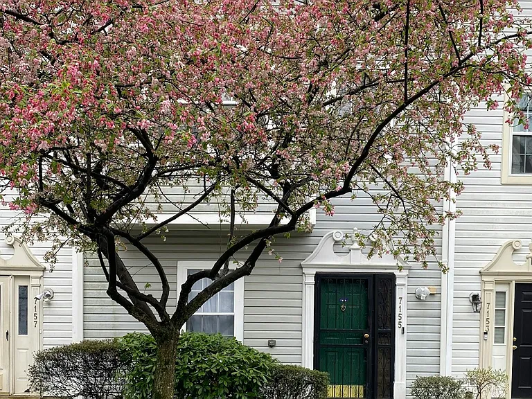 Room rental in townhome