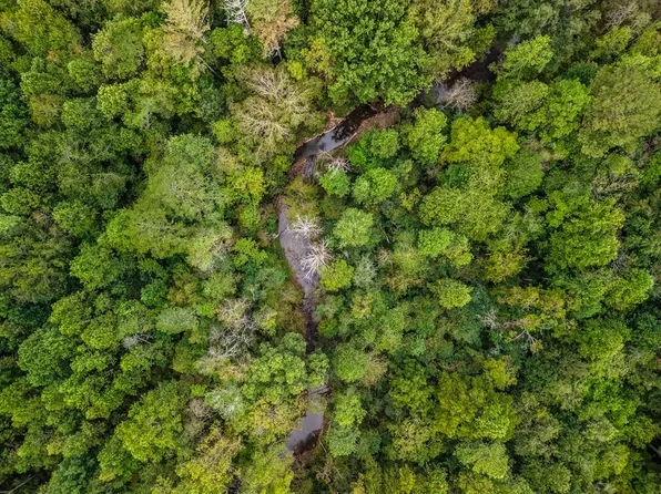 Old Northcutt Rd, Ellijay, GA 30540