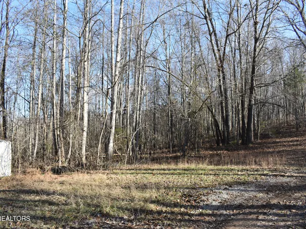 LOT 54 Bark Ln, Speedwell, TN 37870