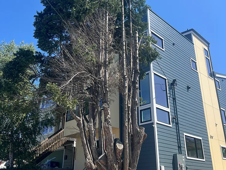 1508 22nd Ave S — Photo 2