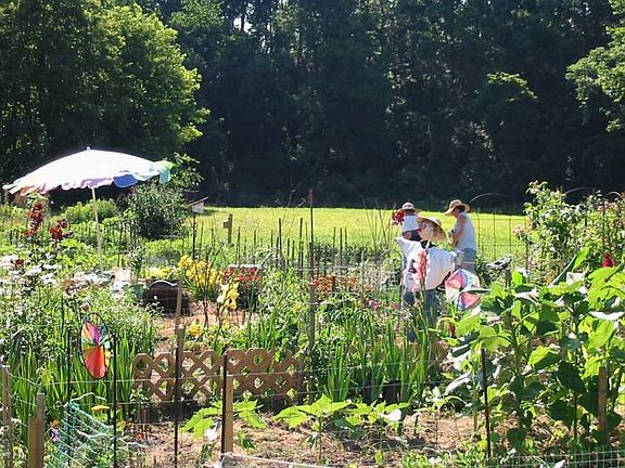 Garden Plots!