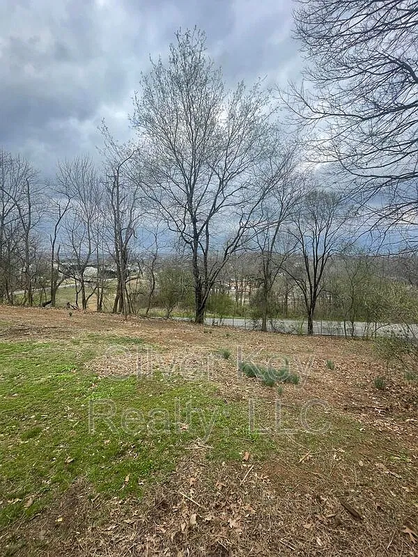 2 bed, 1.0 bath, $1,195 — Photo 2