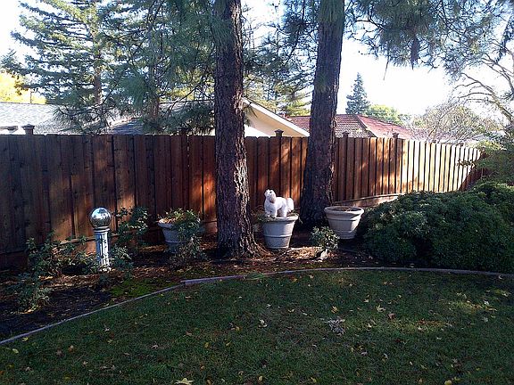 Large Rear Treed Yard