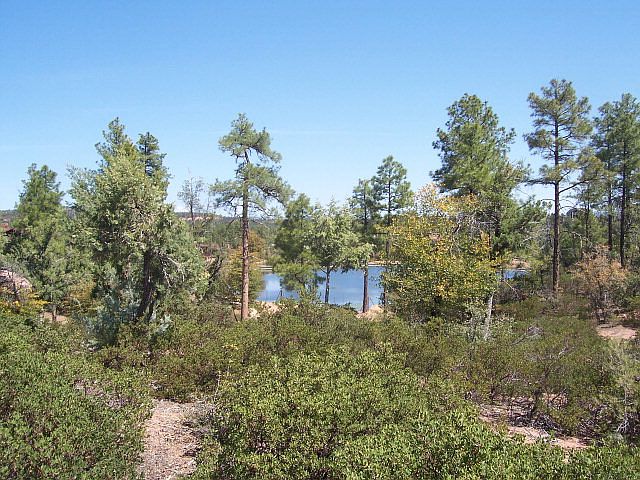 1st image of 1706 E Desert Mimosa Dr