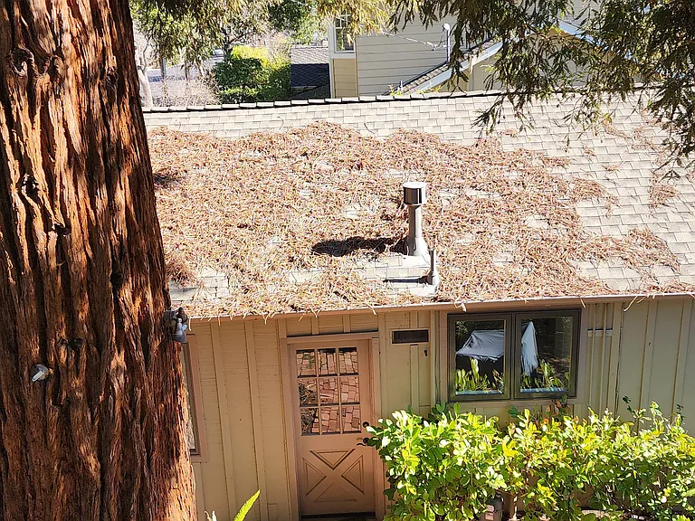 Harker Ave — Photo 7