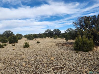 Pinon Heights Dr, Quemado, NM, 87829