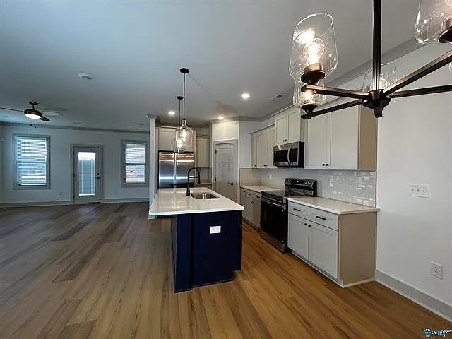 209 Emma Harris Cir — Photo 23
