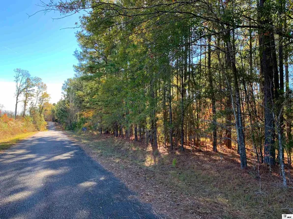 316 Jeff Tidwell Rd, Downsville, LA 71234