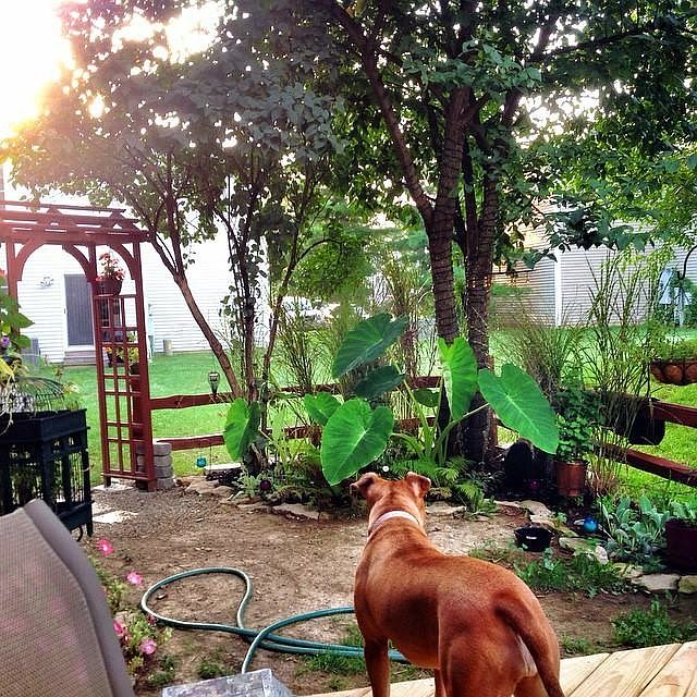 1st image of 7852 Barkwood Dr