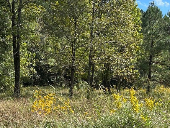 5th image of 0 State Highway 1545