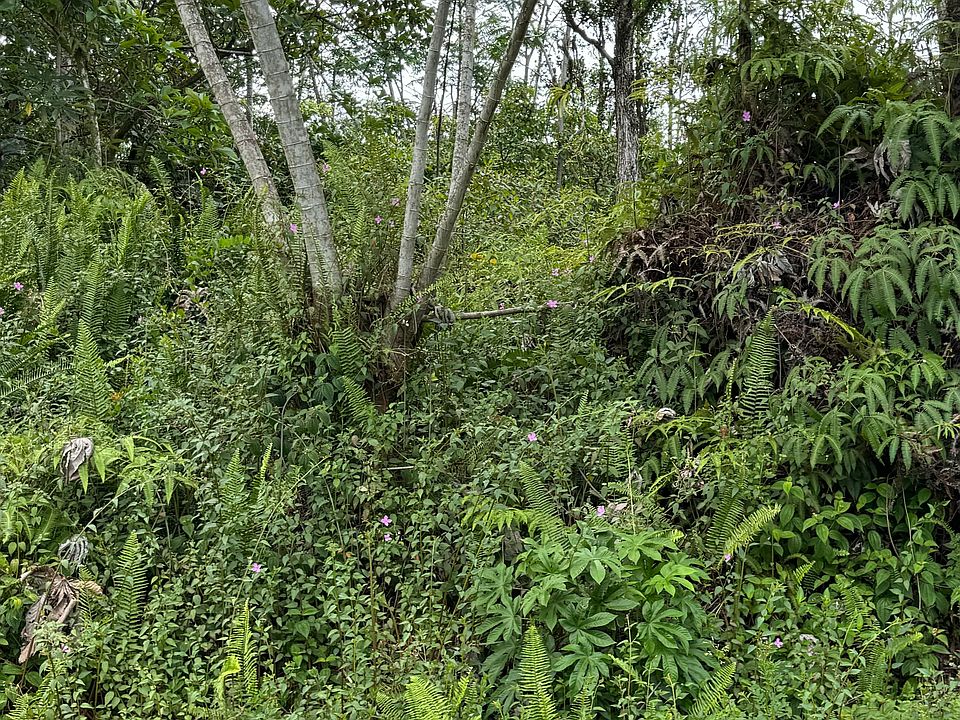 2nd image of Moku St Lot 19