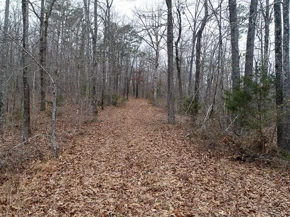 0 Mc Rd #6043, Yellville, AR 72687