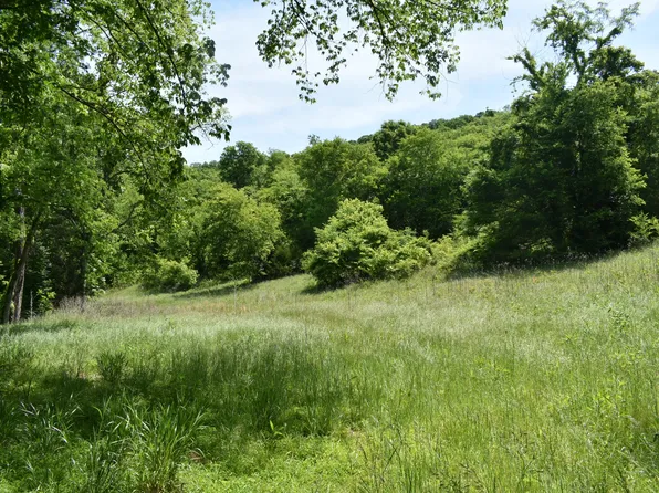 0 Brooks Bend Ln Lot 1, Gainesboro, TN 38562