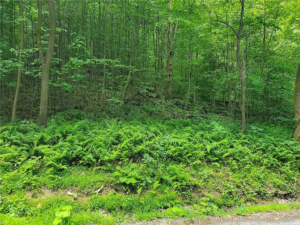 2nd image of Cottonwood Rd