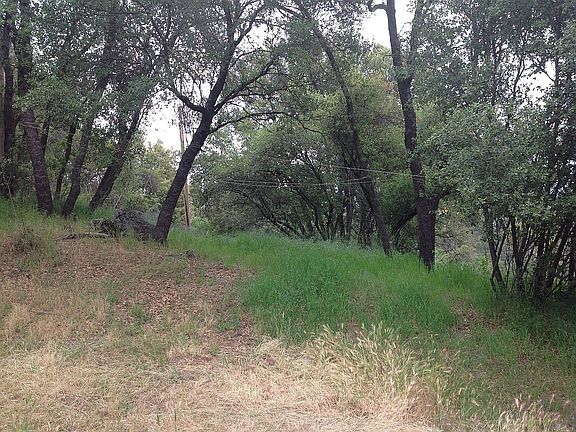 5th image of 50588 Critter Creek Ln