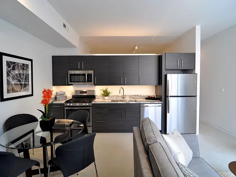 Wicker Park Lofts- 1515 W. Haddon Ave — Photo 12