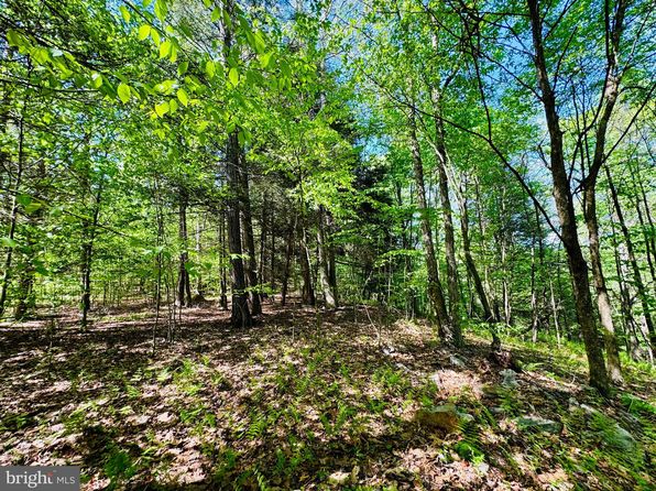 LOT 10 Paradise Rd, James Creek, PA 16657