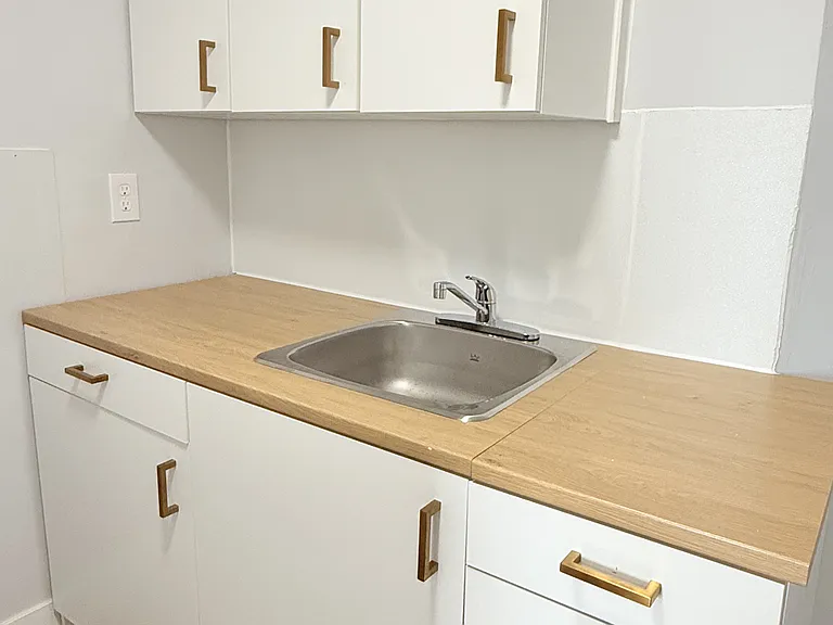 1011 Albert Rd #4 — Photo 6