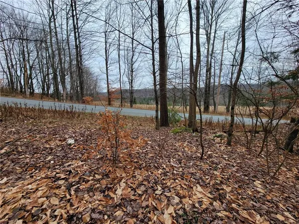 Burnt Ridge Road Tr 64, Liberty, NY 12733